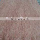 Linyi Factory Rotary Cut Grade a b c 0.30mm 4'x8' Bintangor Face Veneer thumbnail-5