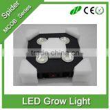 300w/600w/1000w COB Chips LED Grow Light Full Specturm for Greenhouse, Hydroponic System and Indoor Plant Flowering Growing thumbnail-5