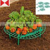 Strawberry Support thumbnail-4