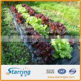 Vegetable Farms Weed Block/Landscape Fabric/Weed Cloth thumbnail-1