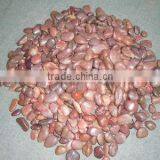 Red Pebble Stone thumbnail-1