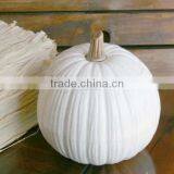 Pumpkin Canister thumbnail-1