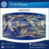 Hygienically Processed Pure and Healthy Frozen Fish Anchovy at Best Cost thumbnail-1