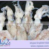 Zhoushan Sea Caught Frozen Baby Squid thumbnail-1