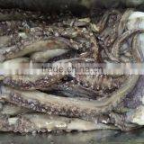 Frozen Giant Squid Tentacle thumbnail-2