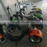 2017 City Mobility Citycoco 1000W Brushless Adult Electric Motorcycle 2 Wheels Fat Tire Electric Scooter thumbnail-1