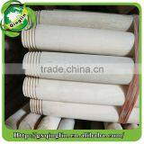 Eucalyptus Broomstick thumbnail-6