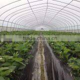 Economical Hydroponic Plastic Film Greenhouse Sytem thumbnail-1