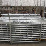 High Quality Steel Ringlock Scaffolding for Working Platform or Support System