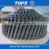 Coil Nails Ring Shank thumbnail-3