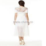 Hot Sales Wedding Dress Pure Dirndle Empty Lace Trim Neck ,transparent Grenadine Hem Ladies Dress OEM thumbnail-2