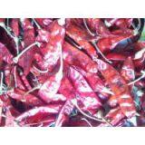 Cayenne Pepper thumbnail-2