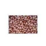 Hsuji Kernels (Round Shape) thumbnail-1