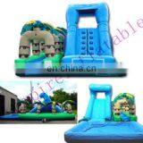 Cheap Price Giant Inflatable Pool Slide for Adult WS012