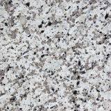 Bala White Granite thumbnail-1