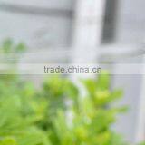 High Pressure Flexible Expandable Garden Hose thumbnail-4