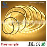 ETL Proffesional Factory Waterproof IP65 Led Flexible Strip thumbnail-5