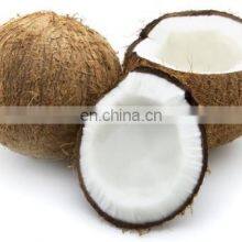 Coconut Water Processing Machine/coconut Juice Machine/coconut Milk Press thumbnail-3