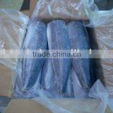 Frozen Spanish Mackerel