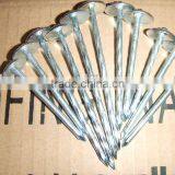 Roofing Nail thumbnail-1