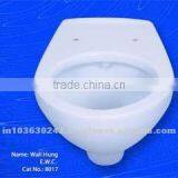 Wall Hung Toilet thumbnail-1