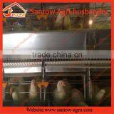 Stable Steel Structure Professional Chicken Egg Layer Cage Chicken Coop Plans for 12 Chickens thumbnail-2