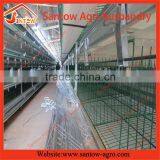 Stable Steel Structure Professional Chicken Egg Layer Cage Laying Hen House Plans Supplier's Choice thumbnail-5