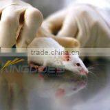 1.4x8mm Microchip Implanter