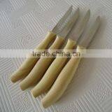 Wood Color Paring Knife