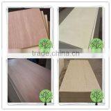 High Quality Marine Plywood for Boats thumbnail-1
