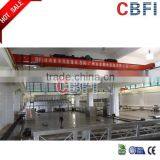 CBFI CE Confirmed Block Ice Machine Price In Africa