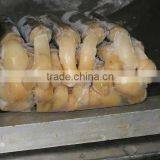 FROZEN RAZOR CLAM