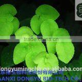 Epimedium Extract Icariin for Sex Enhancement Products With Best Quality and Competitive Price thumbnail-2