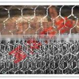 Anping Chicken Wire Mesh(Factory,ISO9001:2008)