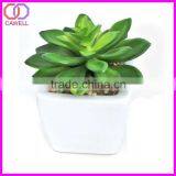 Decorative Artificial Cactus thumbnail-6