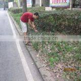 Chongqing Gold Mechanical & Electrical Equipment Co., Ltd. company overview - view 2 thumbnail