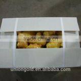 Chinese Fresh Ginger thumbnail-3