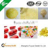 GELATIN - 220 BLOOM /30 MESH thumbnail-3