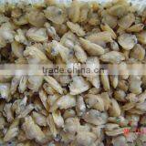 Frozen Yellow Baby Clam Meat