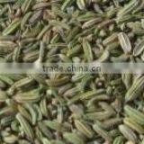 chinese fennel seeds