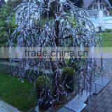 European Hotsale 2m Beautiful Garden Decorative Artificial Lighted Willow Trees thumbnail-2