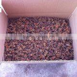 Wihout Sulfur Dioxide Sun-Dry Star Anise thumbnail-3