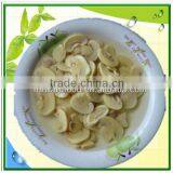 800g Canned Mushroom Slices in Brine thumbnail-1