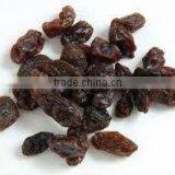 Fresh Dried Black Raisin thumbnail-1