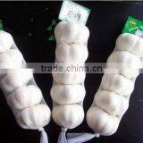 2016 New Fresh White Garlic at Cheap Price thumbnail-2