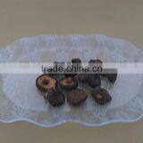 Vacuum Fried Shiitake Chips thumbnail-1