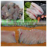 Shearer Machine for Fish/meat Slicer Machine With Stainless Steel Body thumbnail-4