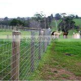 Factory Direct Sale Galvanized Hinge Joint Knot Field Fence Mesh for Animals&hinge Joint Field Fencing&horse Farm Fence