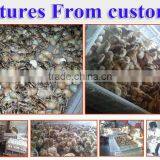 Egg Incubator for Sale in Saudi Arabia From Weiqian Factory Offer Directly thumbnail-4