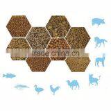 Grass Catfish Cattle Feed Pellet Machine thumbnail-6